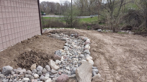 Winton Rain Garden (3)